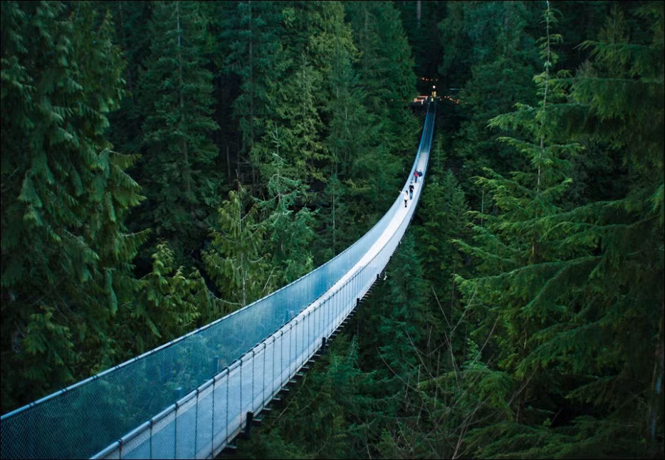 Cầu treo tuyệt đẹp bắc ngang sông Capilano, thuộc thành phố Vancouver (Canada).