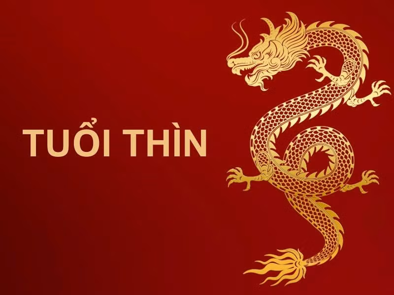  Tuổi Thìn – Đầu tư đúng lúc, dễ có bước đột phá: Sinh năm: 1988 (Mậu Thìn), 2000 (Canh Thìn). Thời điểm vàng: Tháng 4 đến đầu tháng 6/2025. 