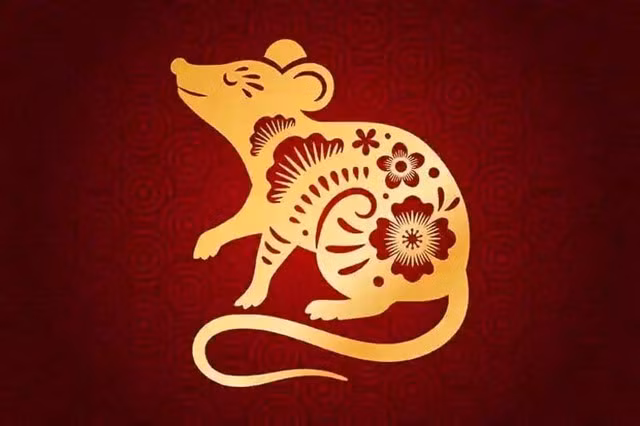 Tuổi Tý: Người tuổi Tý nổi tiếng với sự thông minh, thích ứng nhanh nhưng tuổi trẻ thường gặp nhiều thử thách do thiếu kinh nghiệm và vận may chưa tới. Họ phải tự lực cánh sinh, ít có được sự giúp đỡ từ bên ngoài mà phải tích lũy từng chút một. 