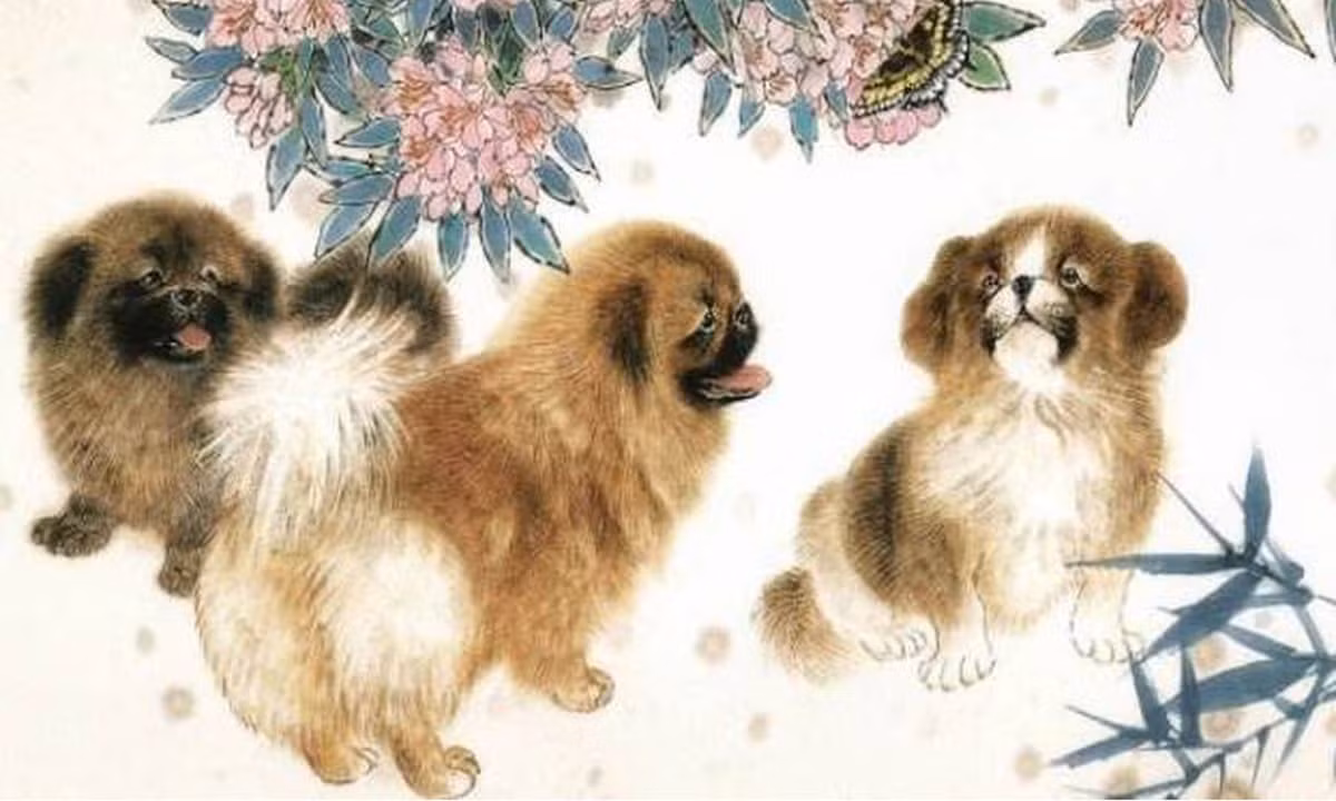Tuổi Tuất: Người tuổi Tuất là con giáp chăm chỉ, trung thực, luôn nỗ lực hết sức mình. Dù khó khăn đến mấy họ cũng không bao giờ bỏ cuộc hay chùn bước. 