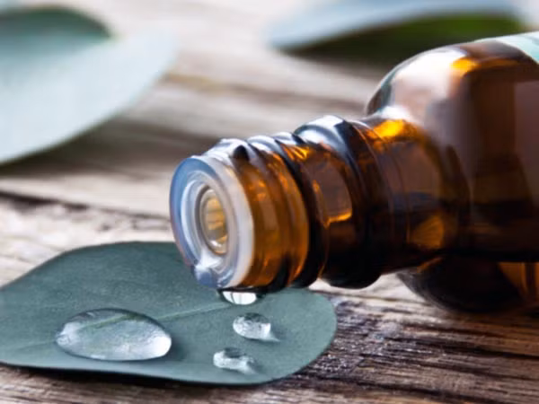 Dầu jojoba. Chứa SPF 4. Dầu Jojoba có một số đặc tính chữa bệnh trên da. Rất hiệu quả trong điều trị da khô và có chứa axit myristic giúp cho làn da của bạn được bảo vệ dưới ánh sáng mặt trời.