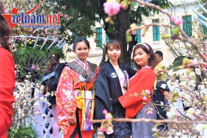 Dịch vụ cho thuê áo dài, áo kimono và nhiều loại phụ kiện khác trở nên đắt khách.