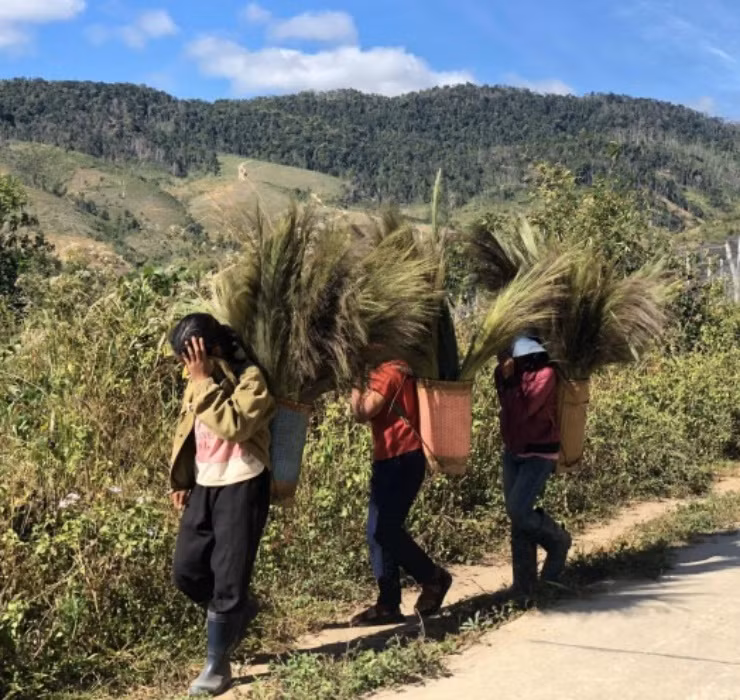 Loc troi 1 nam chi no 1 lan, muon hai phai lieu nhung kiem bon-Hinh-13
