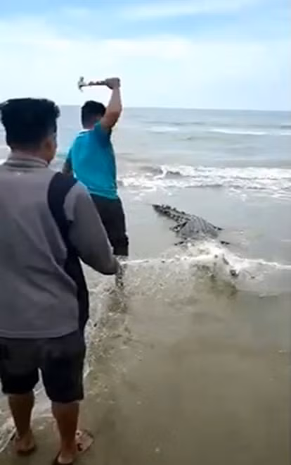 Ca sau mac vao luoi danh ca, ngu dan dung bua dap tan nhan