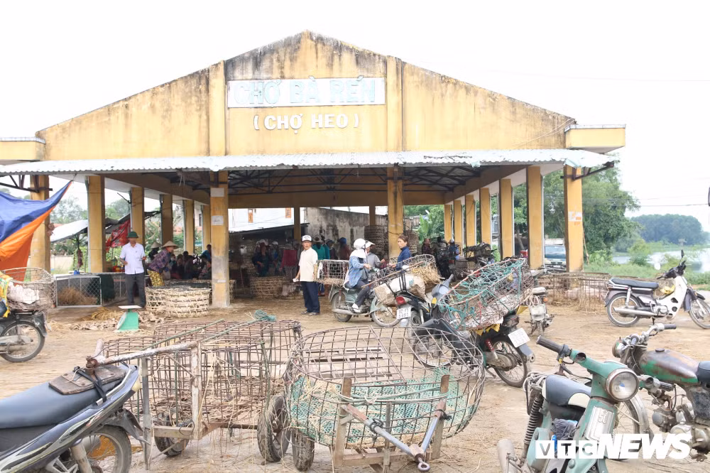 Nuoc mat o ngoi cho 'phu nu bong heo' doc nhat vo nhi Viet Nam-Hinh-2