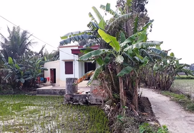 Chau Viet Cuong: O nha pho, bo mac me vay tien xay nha dot