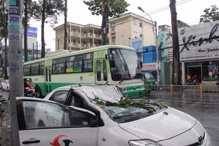 Hiện trường sự cố cây cổ thụ đè bẹp taxi.