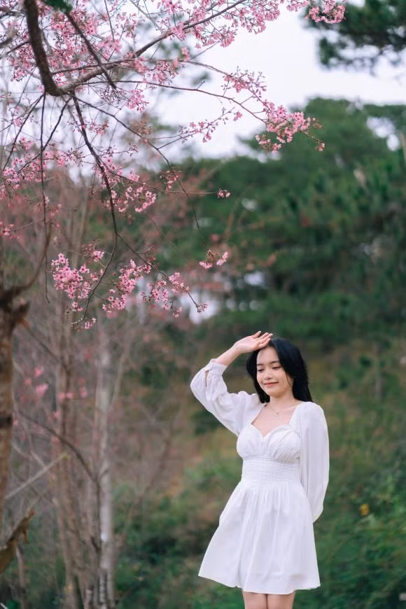 Nhung dia diem 