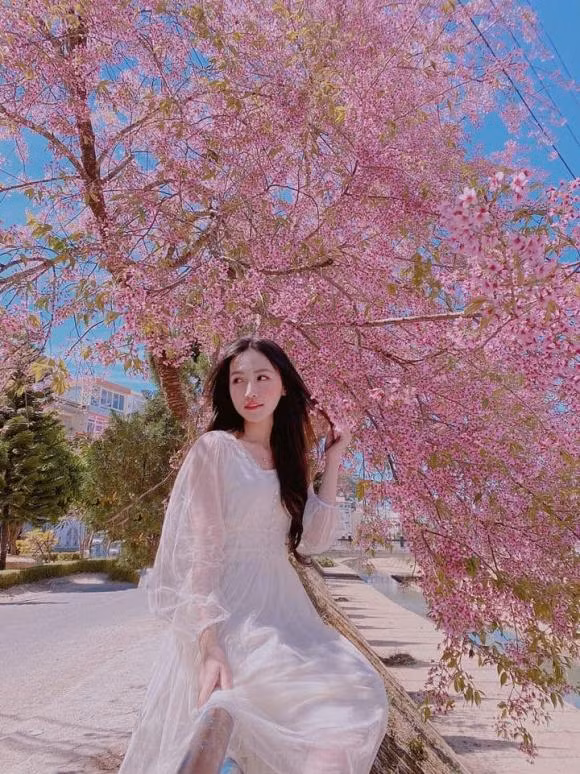 Nhung dia diem 