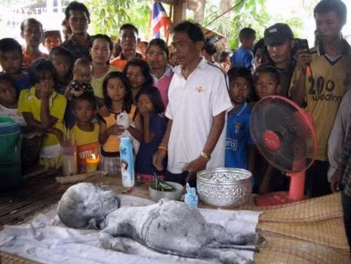 Một loạt các hình ảnh miêu tả một buổi lễ cho một sinh vật ngoài hành tinh được tổ chức bởi những người dân Thái Lan trong năm 2007, nổi lên trong năm 2010 thông qua các mạng xã hội.