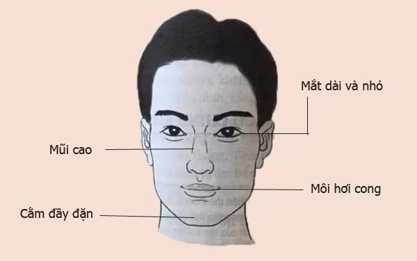 Nhận định chung về người có gương mặt 2 cằm, hay cằm 2 ngấn thường là những người có tính tình hiền hòa, làm việc ít so đo tính toán thiệt hơn, không thù lâu nhớ dai, là người bao dung, rộng lượng. Họ là những người cởi mở, phóng khoáng, biết cảm thông, tha thứ. Những người này thường có vận “kiếm tiền ngoài luồng”, đại ý rằng họ dễ thành công thu lợi khi đầu tư vào kinh doanh. Nhờ vậy, khi về già, họ sẽ được phú quý, an nhàn. Đánh giá chung hầu hết các tài liệu ghi chép và bản thân người viết đều cho rằng đây là tướng cằm tốt.