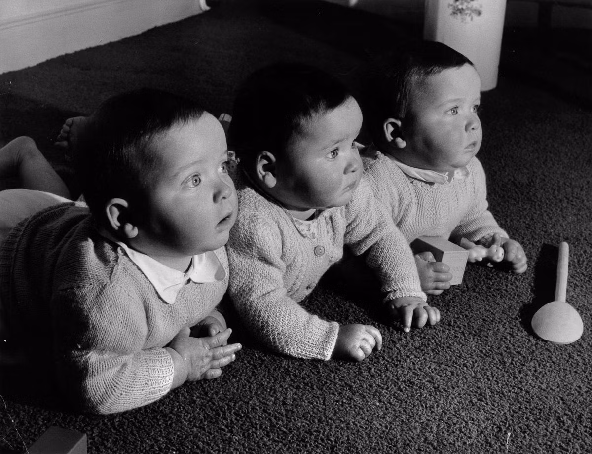 Ba em bé sinh ba đang nằm chơi trên sàn nhà mình, tháng 3/1955. Ảnh: Getty Images.