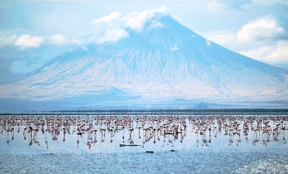 Hồ Natron ở Tanzania là một địa danh độc đáo trên thế giới thu hút nhiều du khách tham quan, mặc dù đây được cho là nơi nguy hiểm cho cả sinh vật sống và con người.