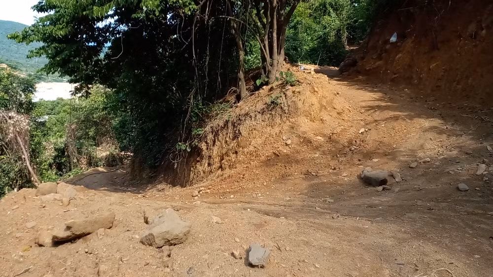 Lam ro sai pham cua ca nhan, don vi lien quan den vu rung Hai Van bi 