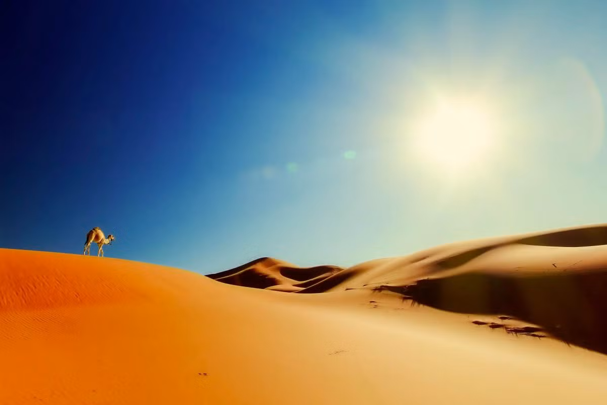 Thời tiết ở sa mạc Sahara rất khắc nghiệt, với sự chênh lệch rất lớn giữa ngày và đên. Vào ban ngày, nhiệt độ trung bình ở sa mạc là 38-40 độ C, với ánh mặt trời như thiêu đốt xuyên qua bầu trời không một gợn mây. Đây là sa mạc nóng nhất thế giới.