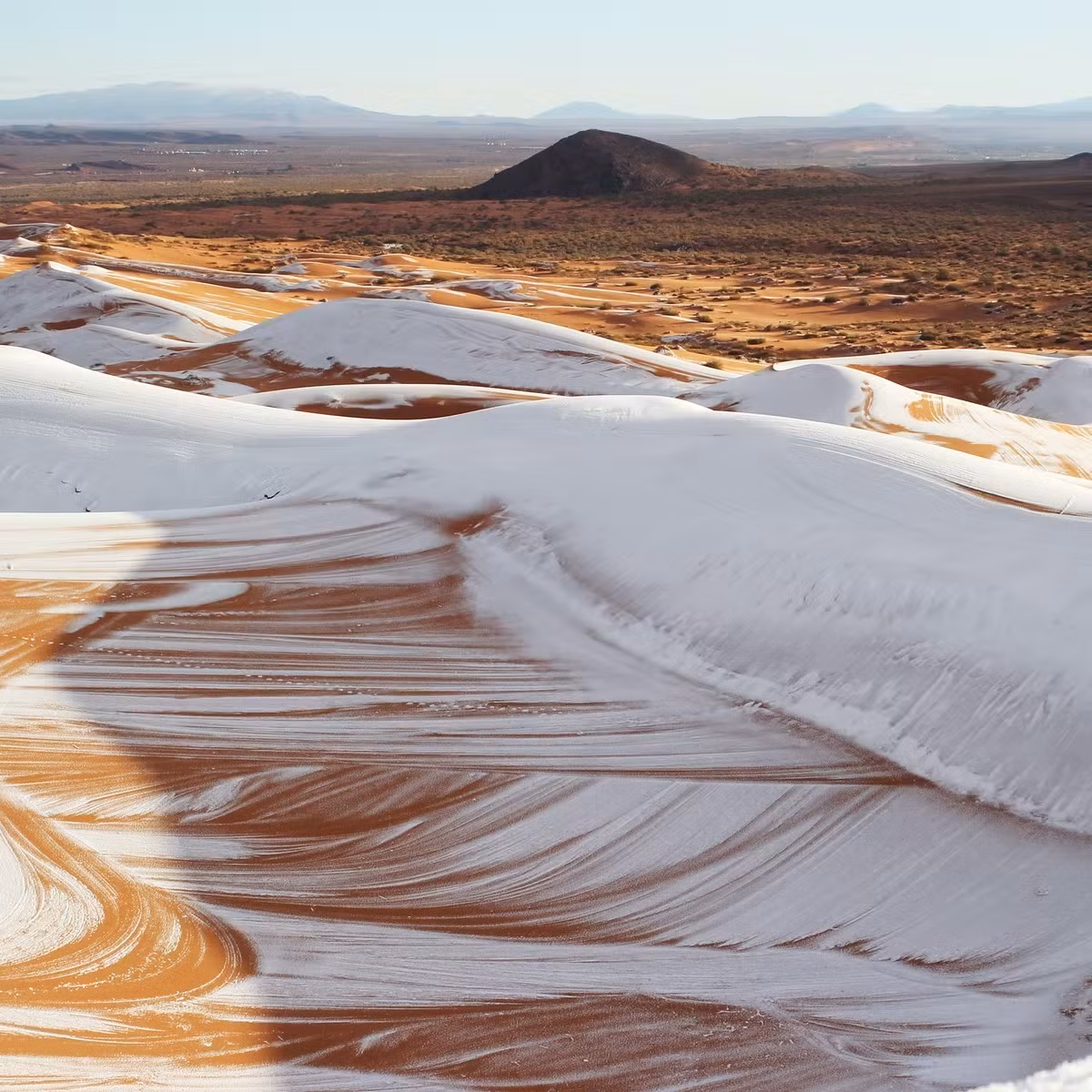 Nghe rất khó tin, nhưng băng tuyết đôi khi xuất hiện ở sa mạc Sahara. Tình trạng biến đổi khí hậu đã góp phần thúc đẩy hiện tượng này. Điển hình là vào tháng 1/2021, tuyết đã phủ trắng nhiều vùng của sa mạc Sahara ở lãnh thổ Algeria khi nhiệt độ giảm xuống tới -3 độ C.