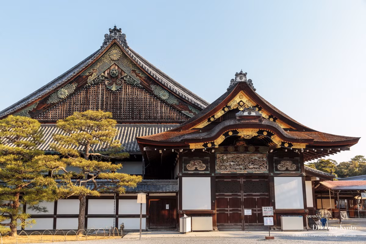 Lâu đài Nijo (Nhị Điều) được mạc chúa Tokugawa Ieyasu cho xây dựng vào năm 1601 và hoàn thành dưới thời trị vì của Tokugawa Iemitsu năm 1626. Khu phức hợp được trang trí lộng lẫy này có vai trò như tư dinh và nơi hội họp của gia tộc Tokugawa cho đến năm 1867, khi quyền lực được trao lại cho Thiên hoàng. Ảnh: Discover Kyoto.