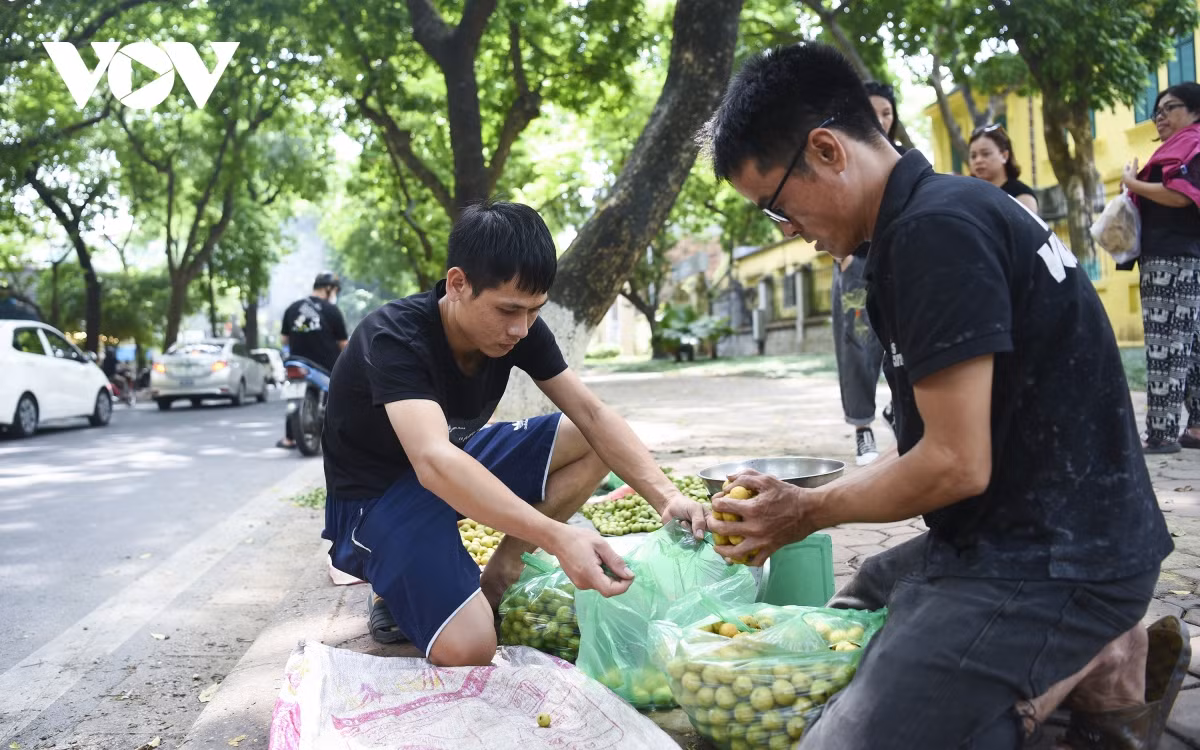 Lang thang trên những con phố Hà Nội, bạn sẽ càng thêm yêu vùng đất và con người nơi đây mỗi khi mùa thu về.