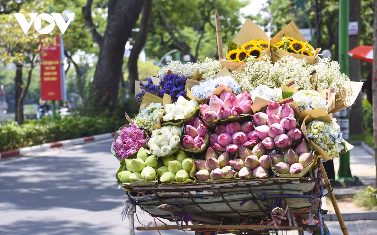Hà Nội có 12 mùa hoa. Mỗi mùa mỗi vẻ, mỗi loài hoa có một vẻ đẹp riêng càng làm cho những con phố thêm rực rỡ sắc màu.