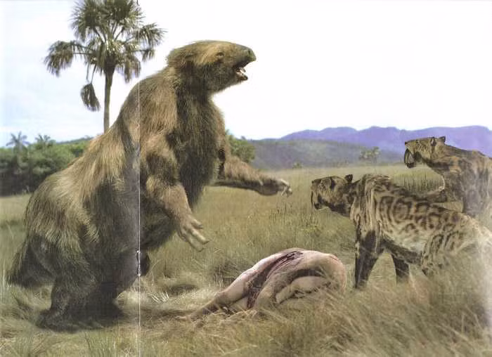 Lười đất khổng lồ. Lười đất khổng lồ có tên khoa học là Megatherium (có nghĩa là “con thú lớn”). Chúng đã có mặt trên trái đất cách đây 2 triệu đến 8.000 năm về trước. Hiện họ hàng gần gũi nhất còn sinh tồn của Megatherium chính là lười cây.