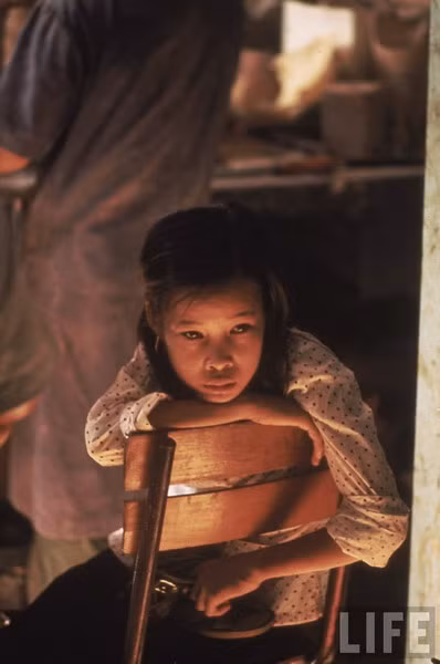 Vào ngày định mệnh, Tròn vào rừng với ý định hái rau rừng để đem ra chợ bán. Em còn hứa với hai đứa em trai và em gái rằng sẽ cho tiền mua quà sau khi bán được rau. Cô bé không biết rằng bi kịch đau đớn sắp xảy đến với mình.