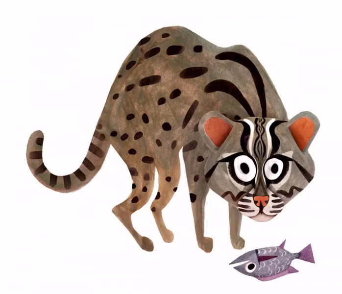 Mèo bắt cá hay mèo cá (Prionailurus viverrinus) là một loài mèo rừng bơi giỏi, sống dọc các sông, suối và đầm lầy ở miền Nam Việt Nam. Tình trạng săn bắt quá mức, sự huỷ hoại các sinh cảnh ngập nước làm cho loài này có nguy cơ tuyệt chủng nếu không được bảo vệ tốt.