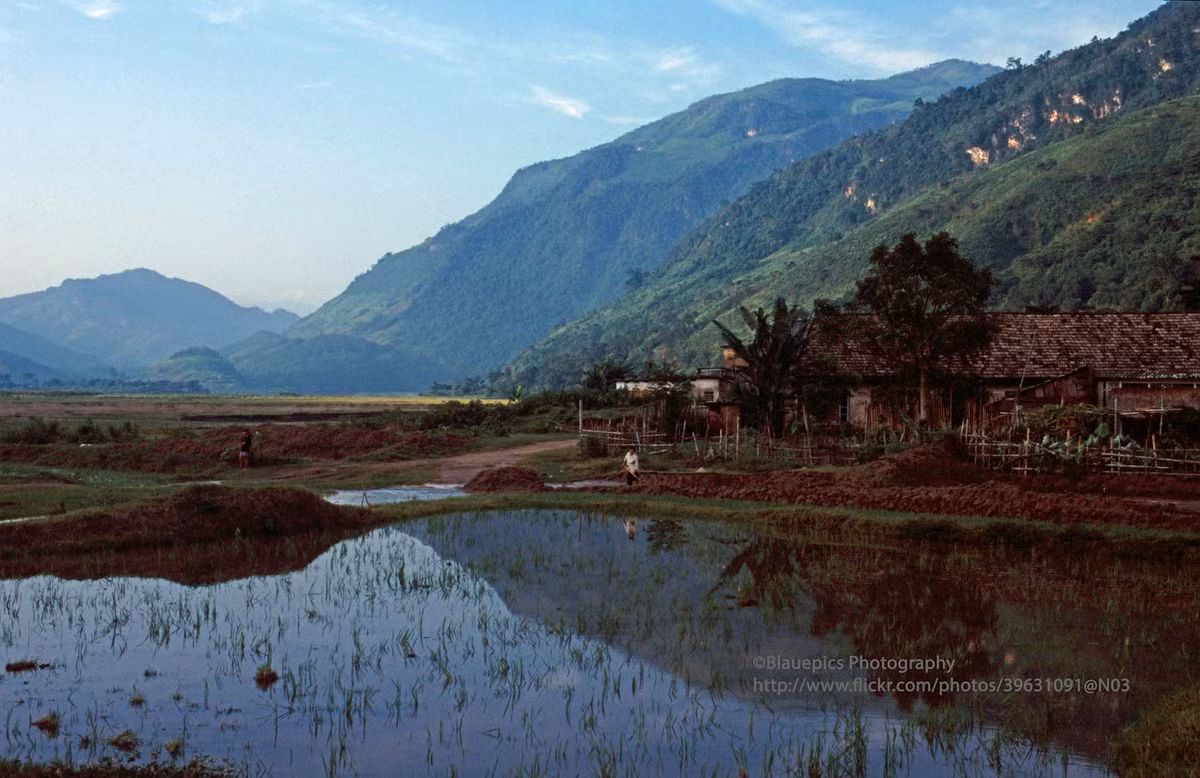 Khung cảnh làng quê thanh bình ở Lai Châu.