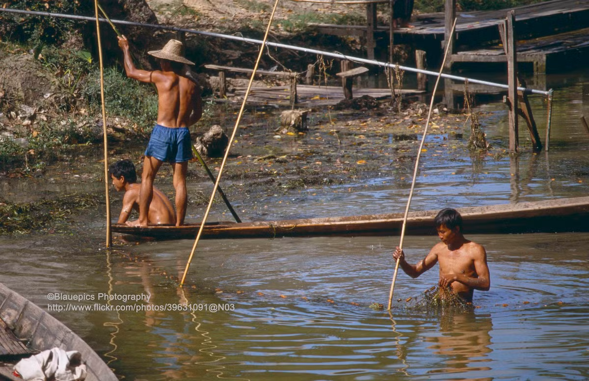 Ngư dân đánh bắt cá.