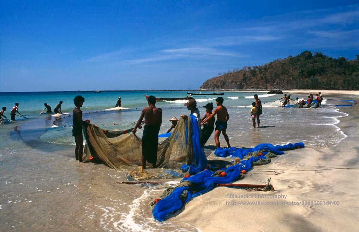 Cảnh kéo lưới buổi sáng trên bãi biển Ngapali, bang Rakhine.