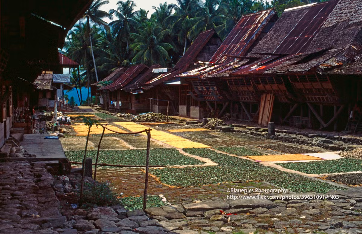Khu vực sân chung của làng Hilisimaetano, đảo Nias.
