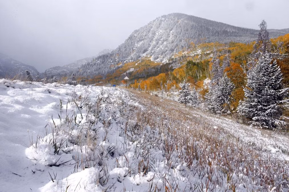 Tuyết phủ dày trên đường gần Frisco, Colorado.