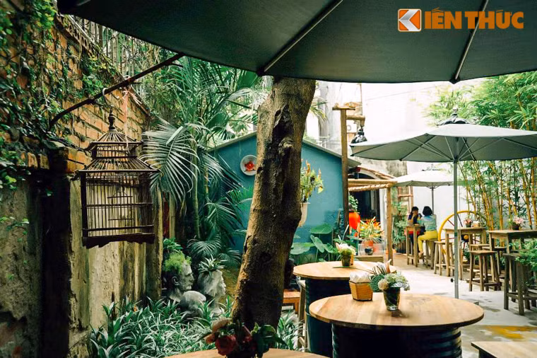 Quan cafe da mau sac hop hon teen yeu nghe thuat