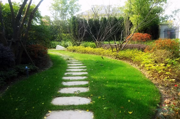 Lối đi bộ lát đá của Rose Garden Thượng Hải (Trung Quốc), cây cỏ rất xanh tốt. Ảnh: Ngọc Linh.