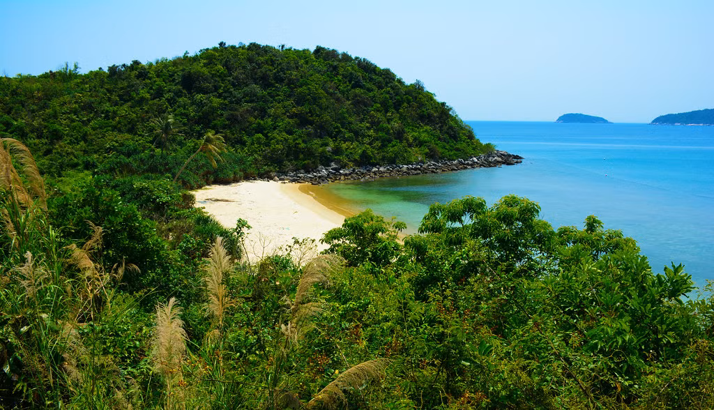 Một bãi biển hoang sơ được bao quanh bởi rừng rậm.