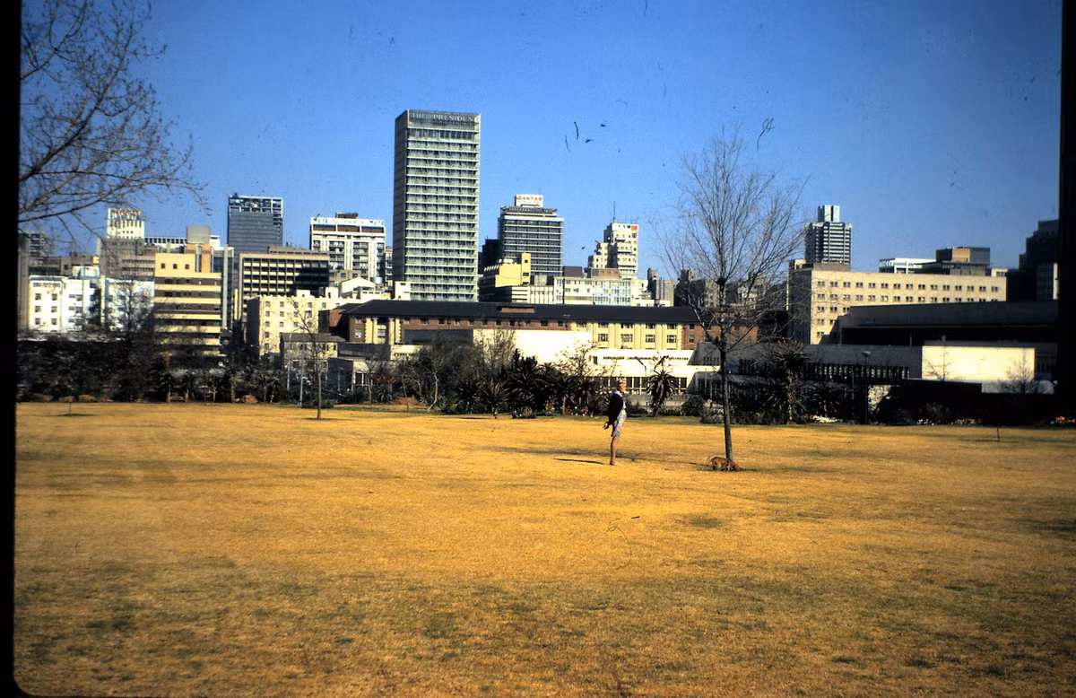 Một góc thành phố Johannesburg.