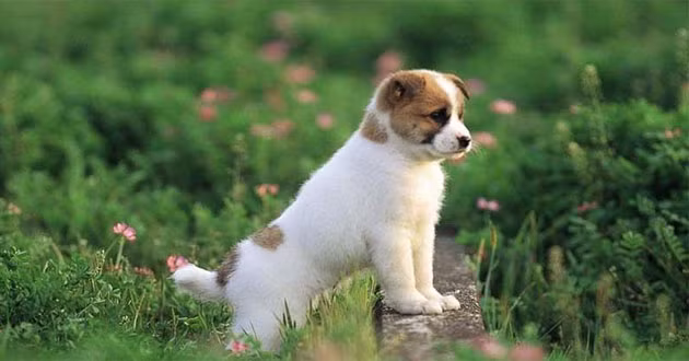 Bất kể họ làm việc gì cũng có thể hóa vận rủi thành vận may, càng về già càng tiểu thư, sống hạnh phúc viên mãn đáng nghen tị, cuộc sống an toàn mạnh mẽ những năm cuối đời. (*)Thông tin trong bài chỉ mang tính tham khảo.