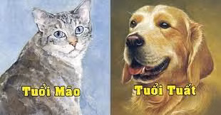 Trong khi con giáp tuổi Tuất có giỏi giang, không bao giờ chịu hạ thấp mình. 