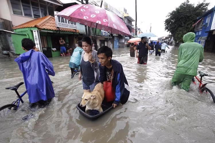 Nhiều người Philippines phải rời bỏ nhà cửa đến tạm trú ở những nơi cao ráo.