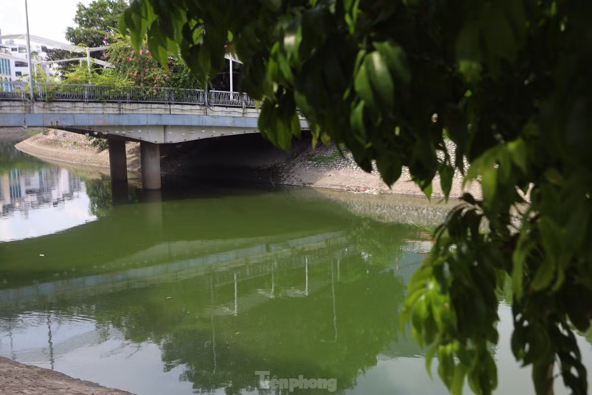 Nước sông Tô Lịch có màu xanh đậm, giống như màu nước Hồ Gươm.