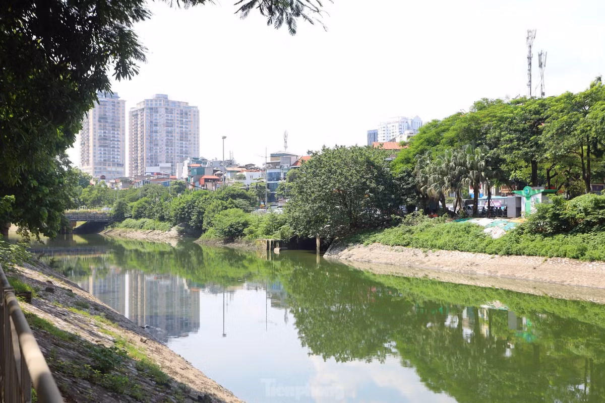 Với dòng nước trong xanh, hình ảnh sông Tô Lịch "nên thơ, trữ tình", khác hẳn với hình ảnh quen thuộc - dòng nước đen bốc mùi hôi thối.