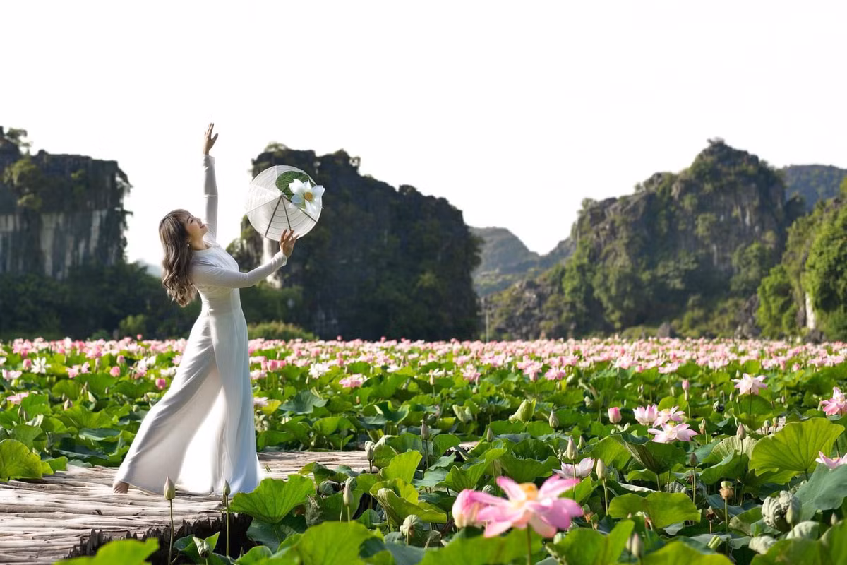 Tỉnh Ninh Bình hiện có 2 thành phố là Ninh Bình, Tam Điệp; cùng 6 huyện: Gia Viễn, Hoa Lư, Kim Sơn, Nho Quan, Yên Khánh và Yên Mô. Ảnh: Phạm Hải.