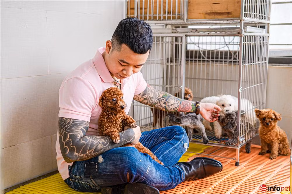 Chàng trai nuôi chó Poodle nổi tiếng Hà thành thu nhập trăm triệu - Hình 4 Chang trai nuoi cho Poodle noi tieng Ha thanh thu nhap tram trieu-Hinh-4