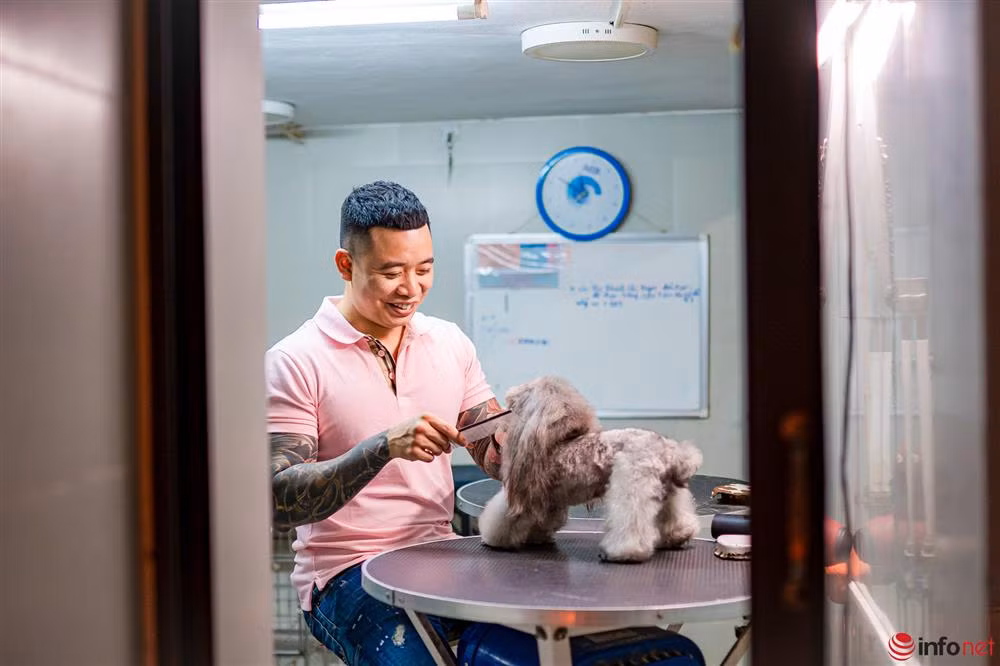 Chàng trai nuôi chó Poodle nổi tiếng Hà thành thu nhập trăm triệu - Hình 3 Chang trai nuoi cho Poodle noi tieng Ha thanh thu nhap tram trieu-Hinh-3