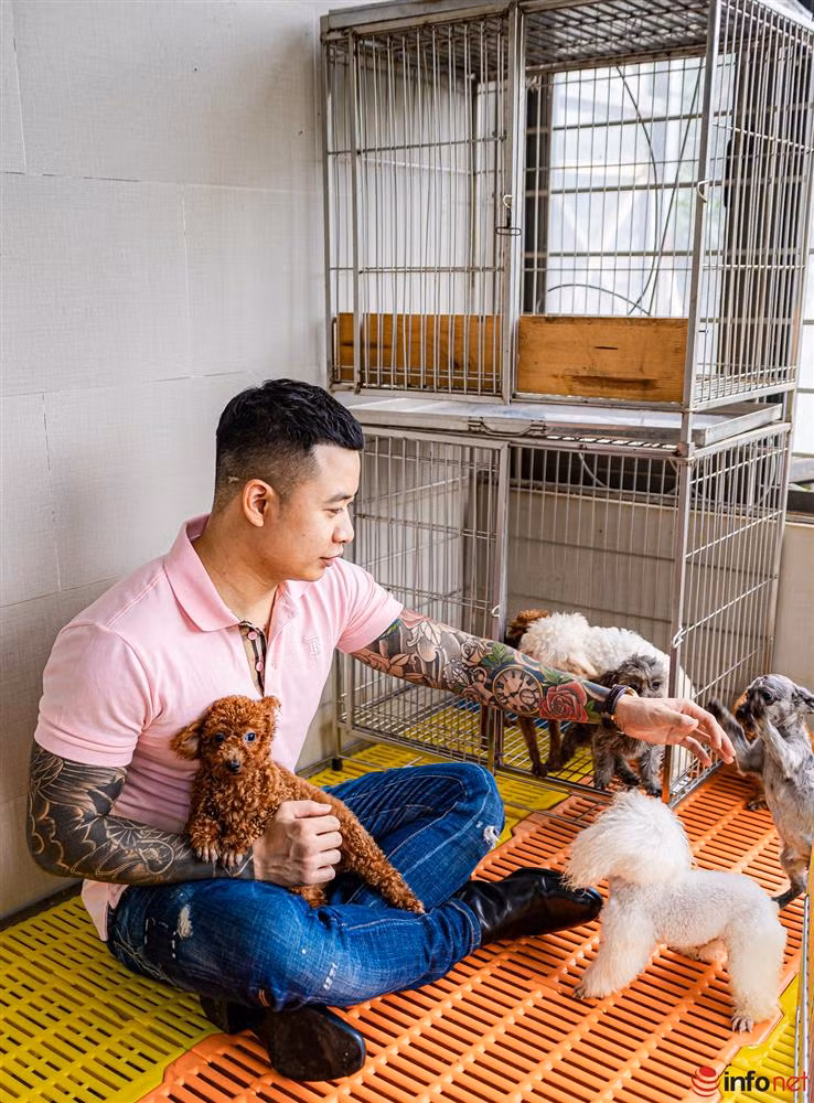 Chàng trai nuôi chó Poodle nổi tiếng Hà thành thu nhập trăm triệu - Hình 9 Chang trai nuoi cho Poodle noi tieng Ha thanh thu nhap tram trieu-Hinh-9