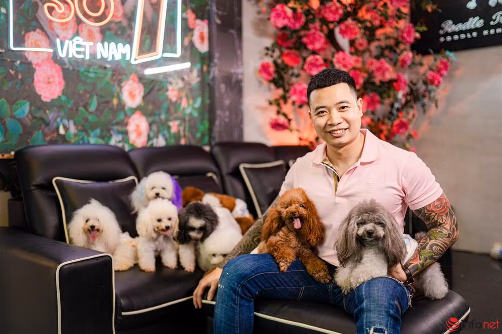 Chàng trai nuôi chó Poodle nổi tiếng Hà thành thu nhập trăm triệu Chang trai nuoi cho Poodle noi tieng Ha thanh thu nhap tram trieu