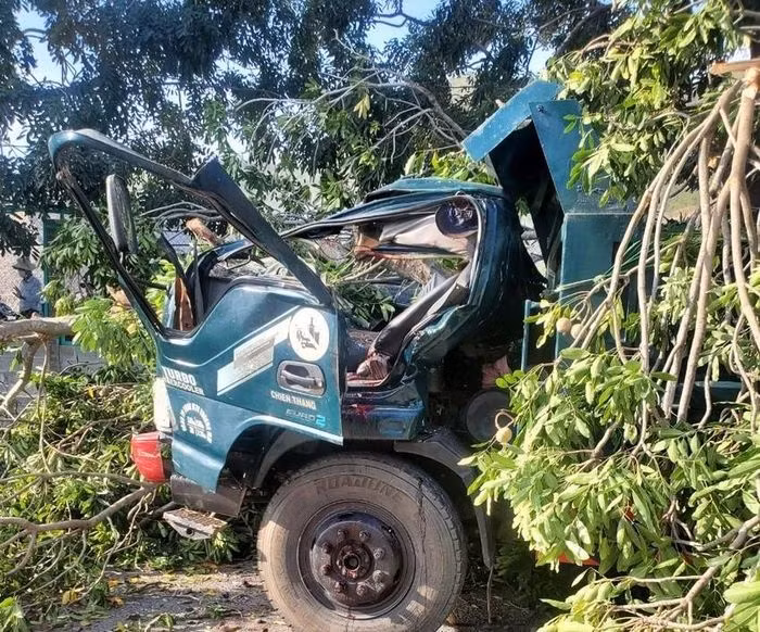 Cay xa cu bat ngo nga de o to, tai xe thiet mang-Hinh-2