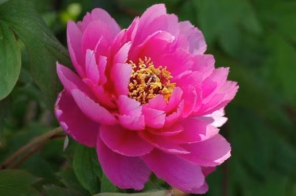 Nguoi sinh vao 5 thang am nay cuoc doi kha gia, tien quan quanh than-Hinh-2