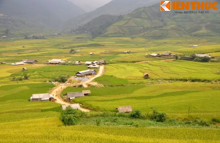 Trong khoảng thời gian này có rất nhiều địa điểm mà các bạn trẻ được tận hưởng, chiêm ngưỡng bức tranh mùa lúa chín rất ấn tượng và đẹp mắt như: Mù Cang Chải, Tú Lệ, Lìm Mông, Hoàng Su Phì, Sa Pa...