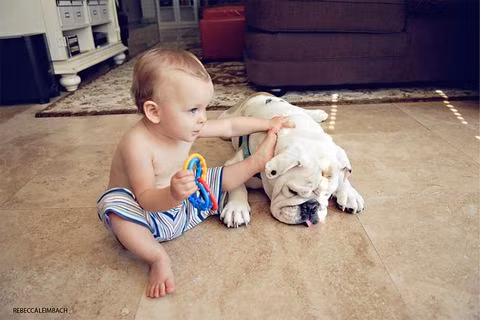 Ngay từ khi Harper còn nhỏ, bà Rebecca đã nhận thấy mối quan hệ tình cảm khăng khít giữa con gái và cô chó Lola.