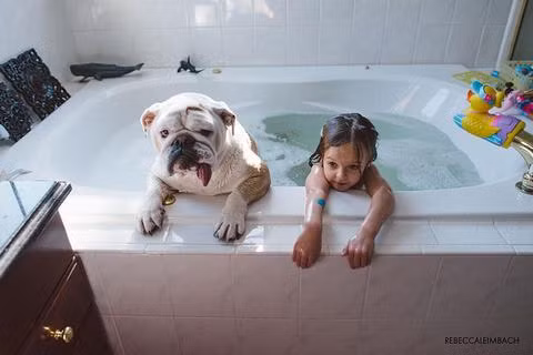 Những bức ảnh này được chụp lại bởi nhiếp ảnh gia chân dung chuyên nghiệp Rebecca Leimbach, đồng thời cũng chính là mẹ của cô bé Harper.